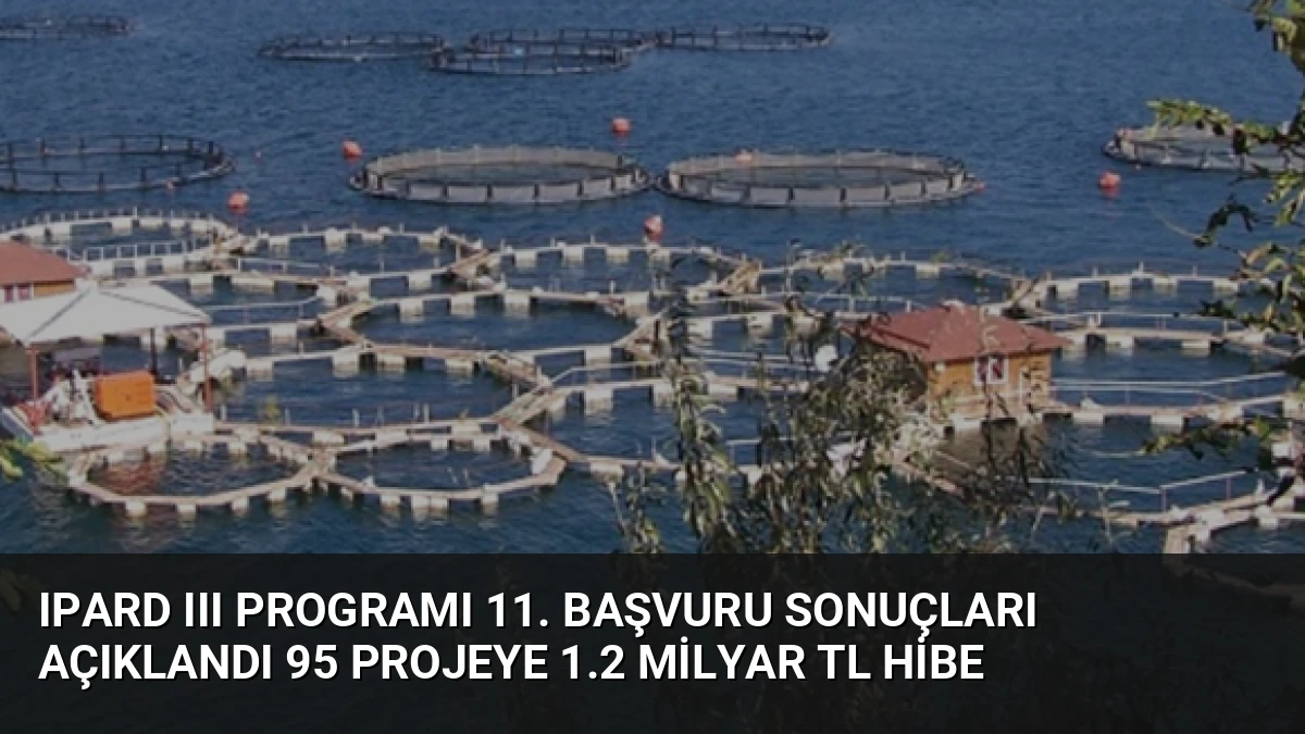 IPARD III Programı 11. Başvuru Sonuçları Açıklandı 95 Projeye 1.2 Milyar TL Hibe