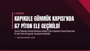 Kapıkule Gümrük Kapısı’nda 67 Piton Ele Geçirildi