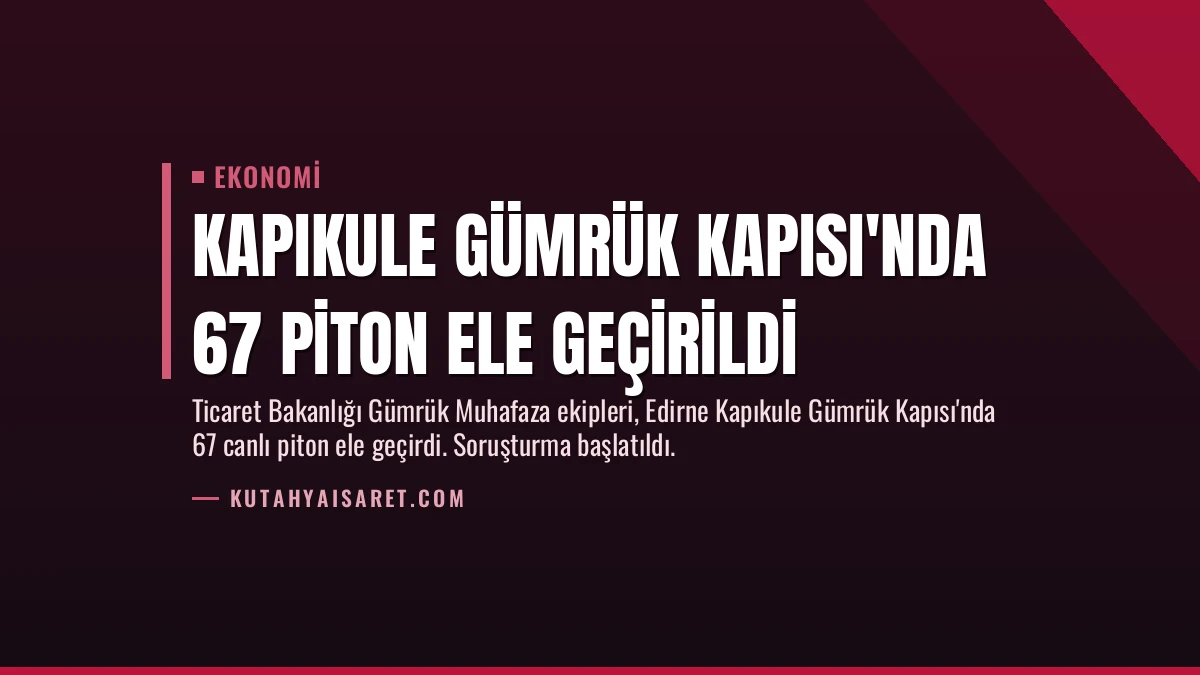 Kapıkule Gümrük Kapısı’nda 67 Piton Ele Geçirildi